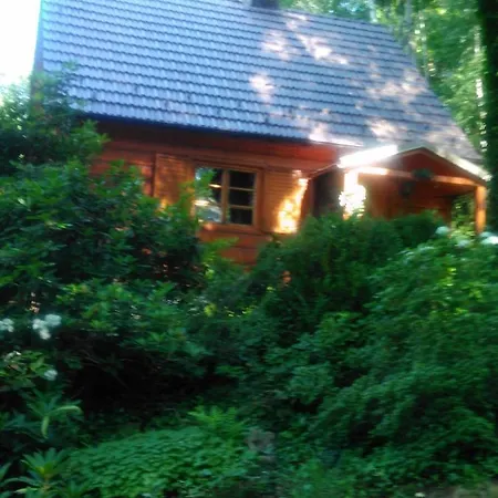 Lesniowka-lekawica Kolo Wadowic